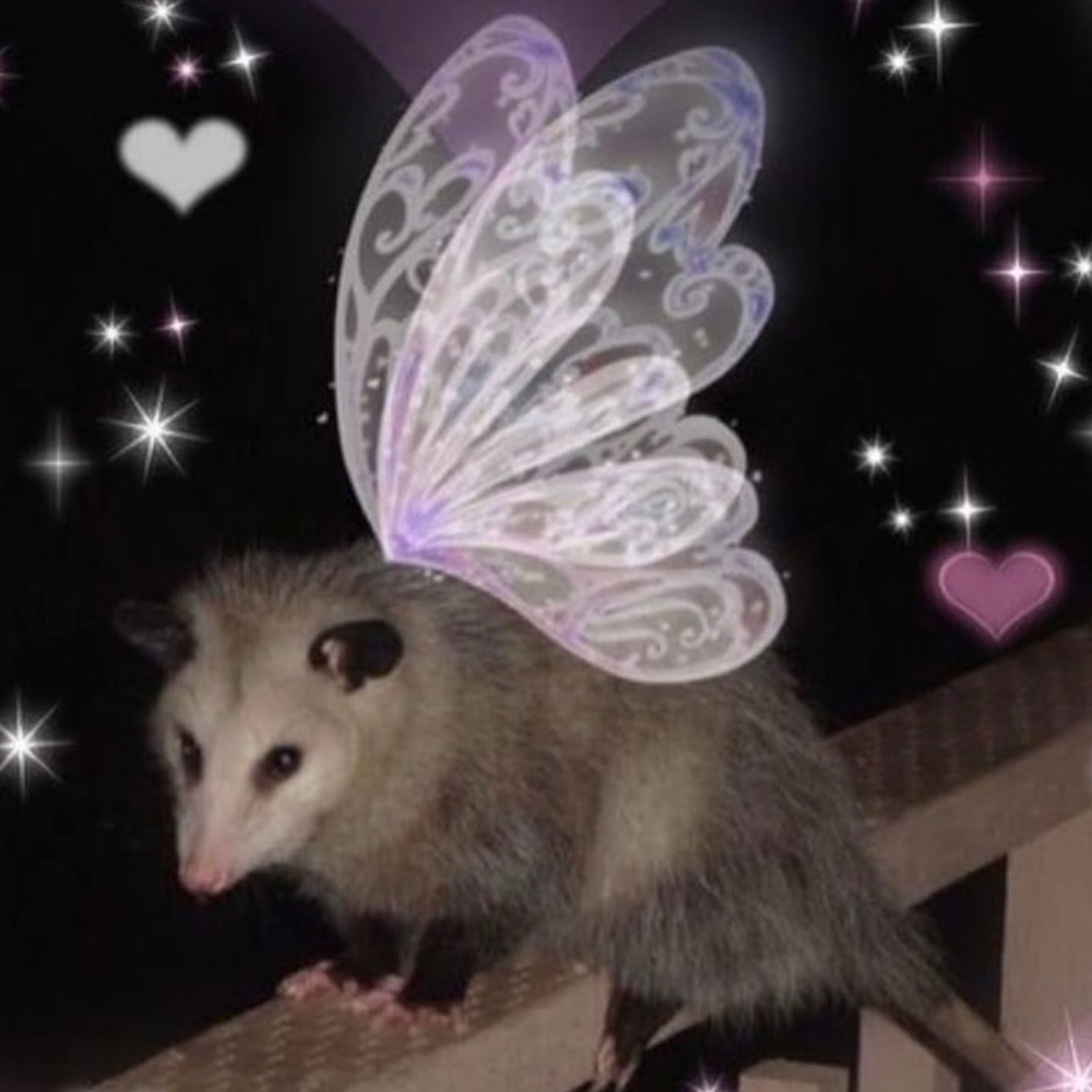 Meet your Posher, Tina